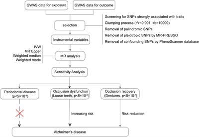 Occlusion dysfunction and Alzheimer’s disease: Mendelian randomization study